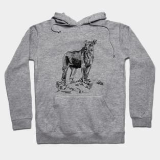 Lioness Ink Drawing Hoodie